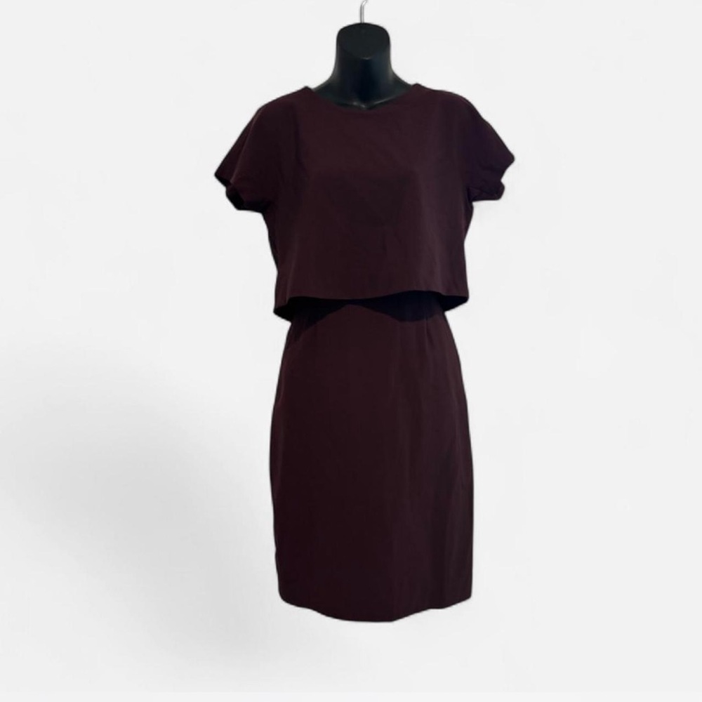 J. Crew Wool Elegant Brown Dress